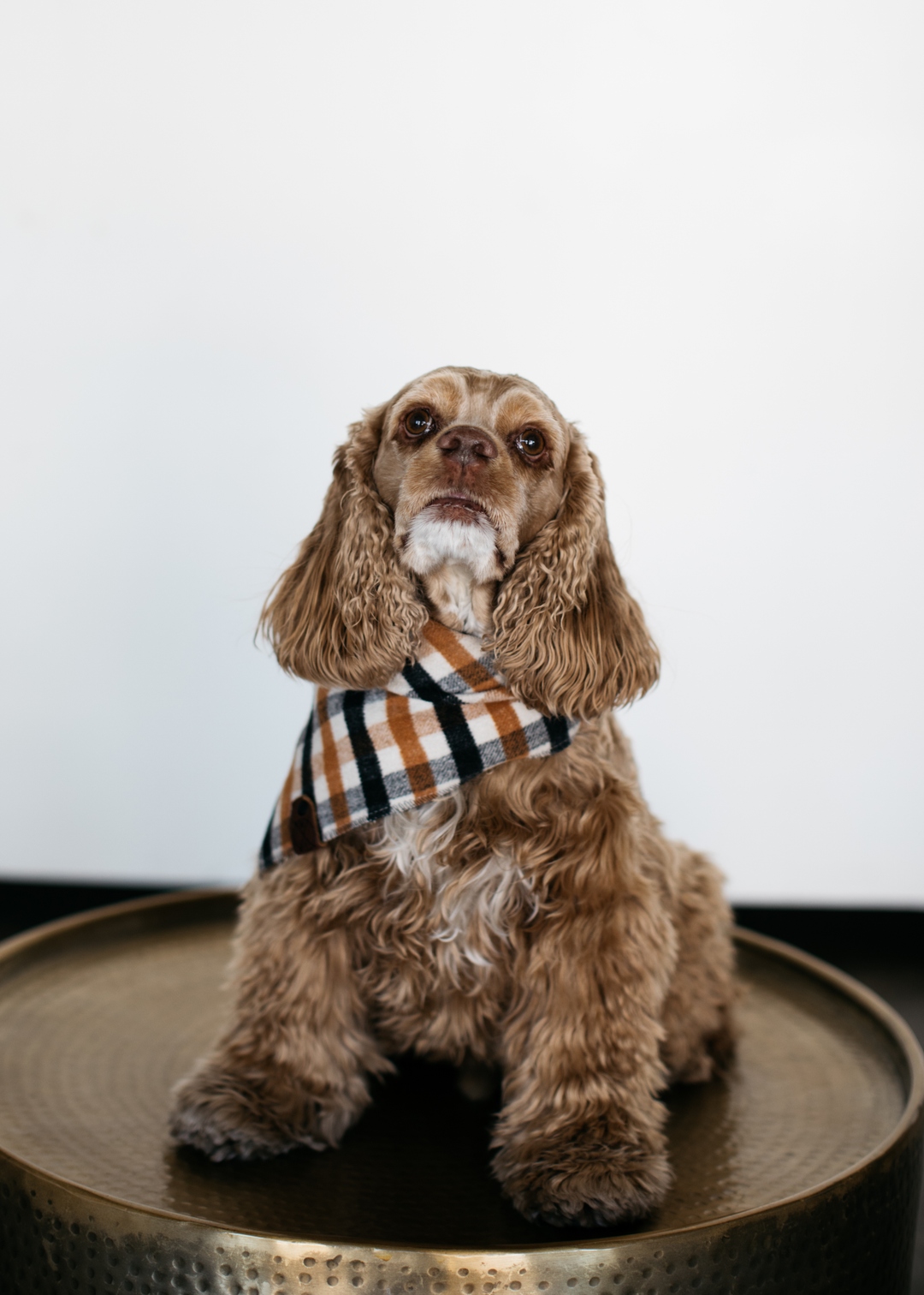 Hudson null from The Kolk Agency, Brightway Insurance