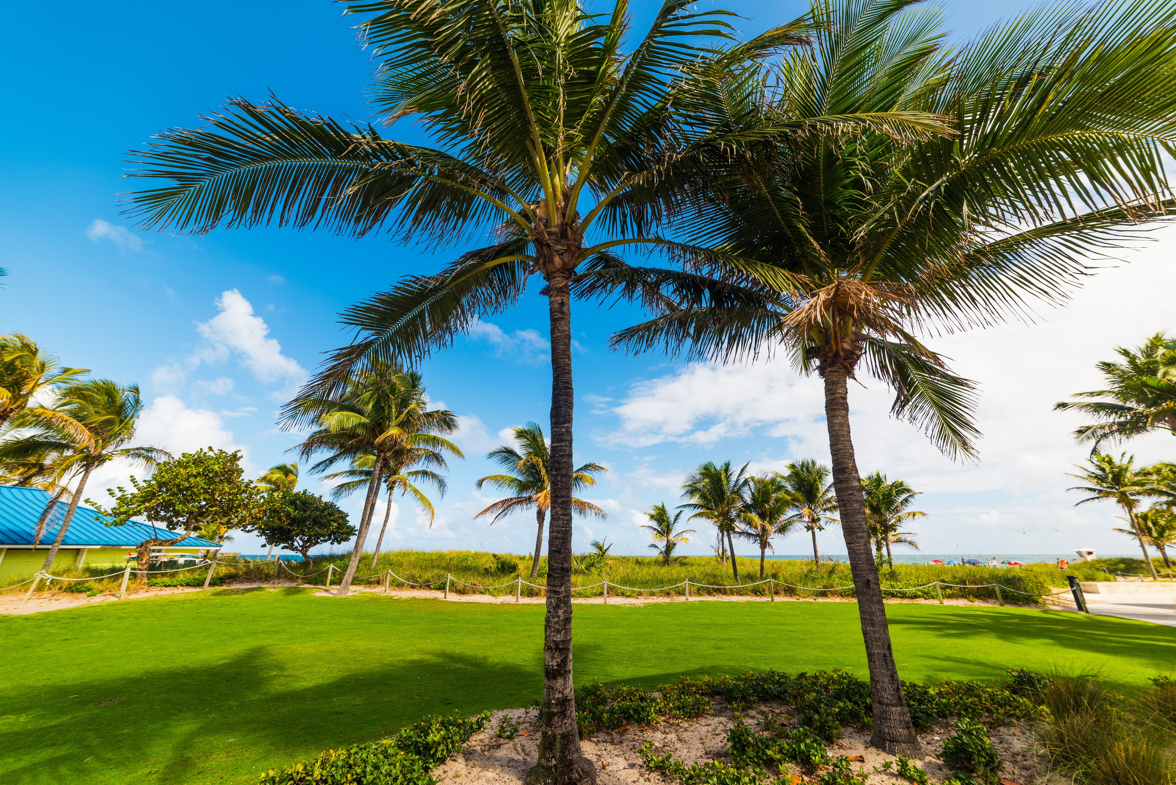 agency team hero image